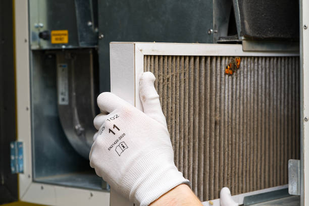 Best Local Air Duct Cleaning Services  in Wolf Trap, VA
